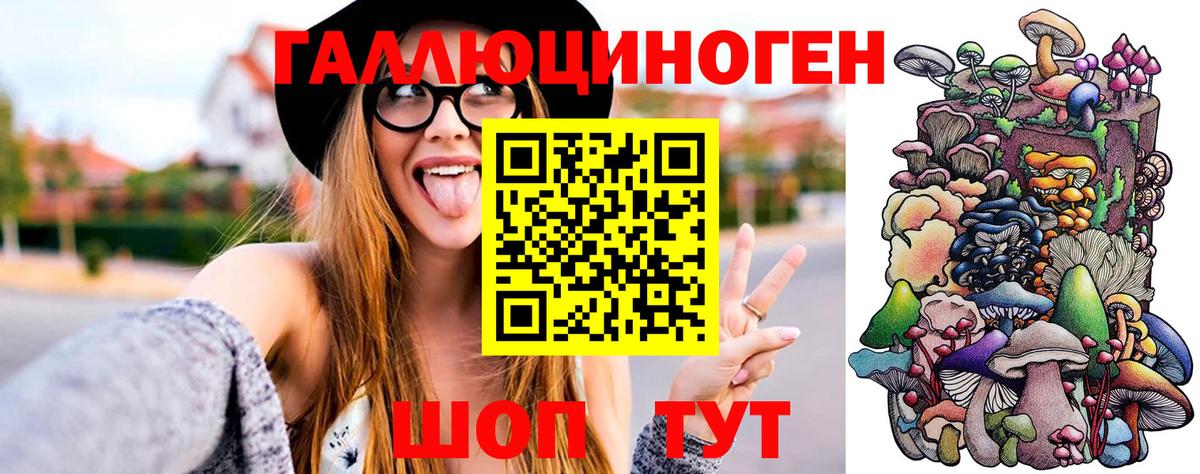 Галлюциногенные грибы прущие грибы  Вход с VPN  Горно-Алтайск 